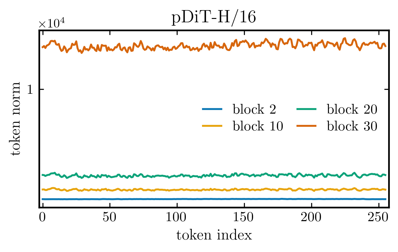 pDiT token norms
