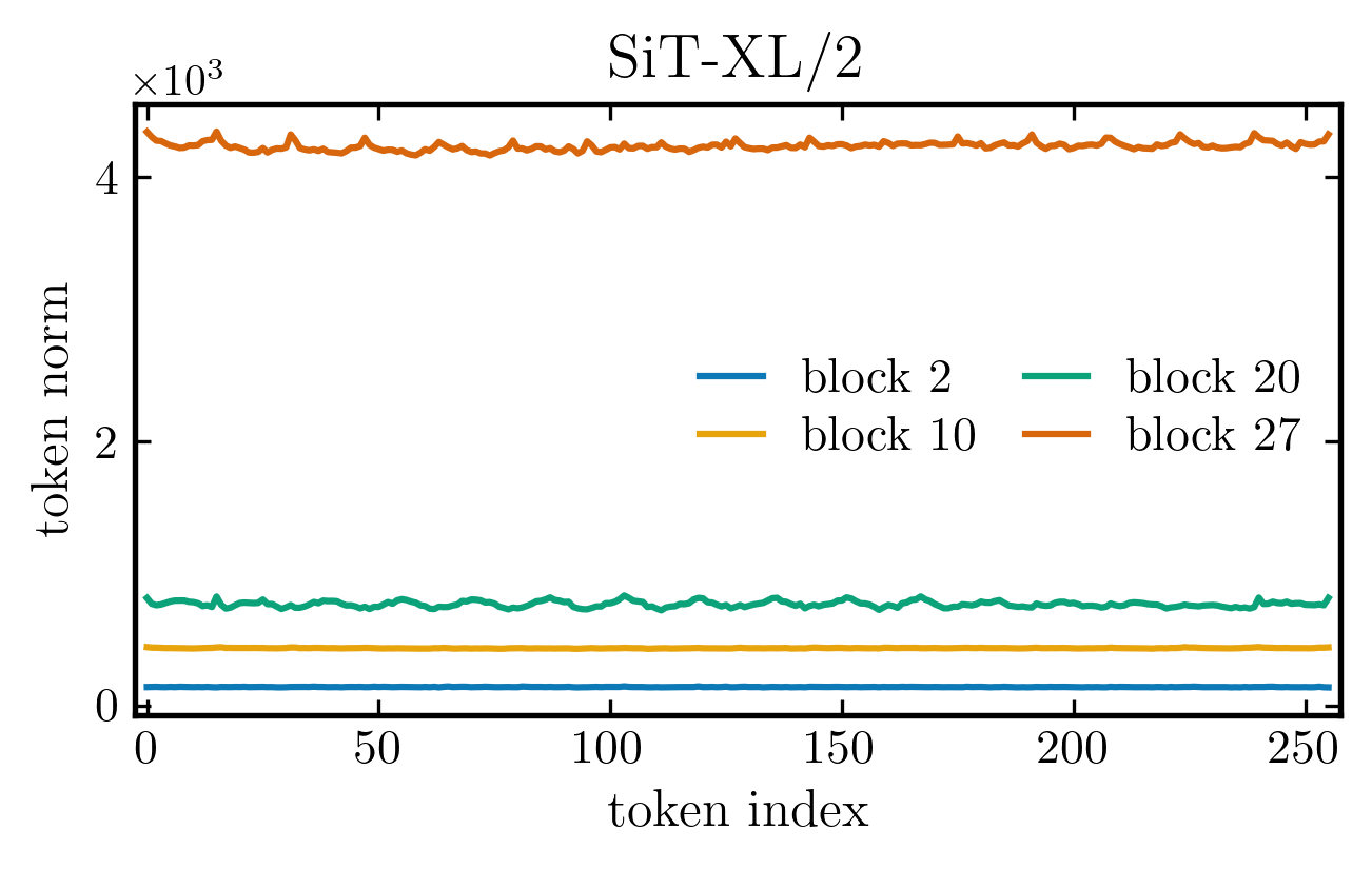 SiT token norms