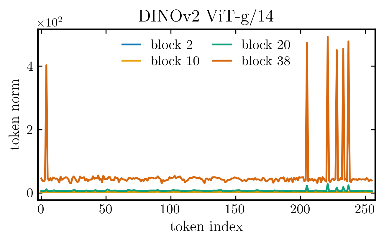 DINOv2 ViT-g token norms